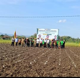 GERAKAN TANAM JAGUNG BERSAMA KEPALA BAPANAS RI DAN KEMENTRIAN PERTANIAN REPUBLIK INDONESIA